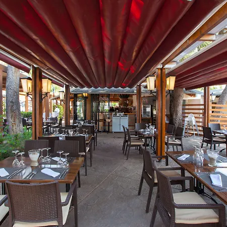 מלון Grupotel Alcudia Pins 3*