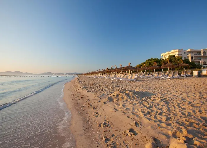 فندق Grupotel Alcudia Pins 3*